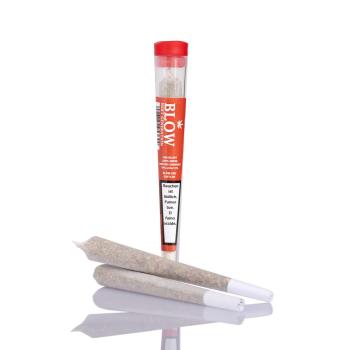 Blow Joint New Generation Cheese (rot)